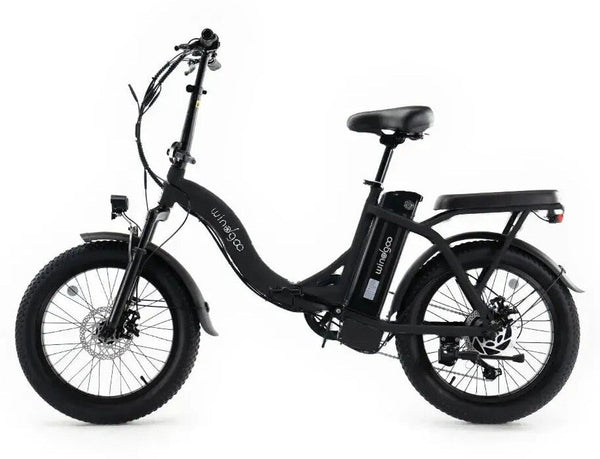 Windgoo E20 fatbike | Elektrische vouwfiets 48volt | lage instap | 250w | 25 km/h | 20 inch | LEGAAL OP DE WEG | 4 Kleuren